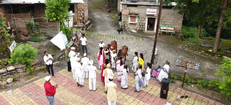 भु-वैकुंठ अड्याळ टेकडी येथे बैल पोळा संपन्न